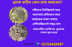 কালো ধান বীজ