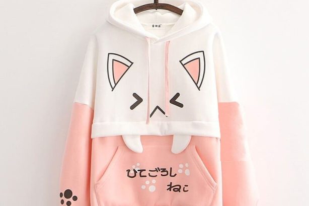 প্রিমিয়াম লেডিস  হুডি (Premium Ladies Hoodie )