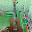বিক্রি হবে – একদম নতুন Ukulele (TGN ব্র্যান্ড) 🎶
