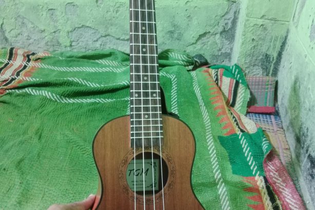 বিক্রি হবে – একদম নতুন Ukulele (TGN ব্র্যান্ড) 🎶