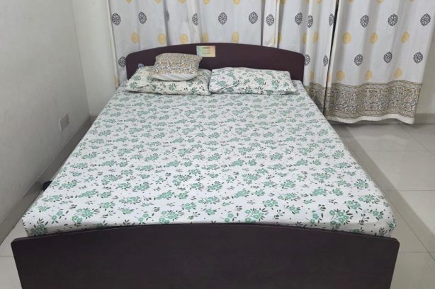 Otobi Semi Double Bed with Otobi 8 Inch Spring Mattress