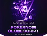 Secure PokerNow Clone Script Using RNG – Free Consultation Offered