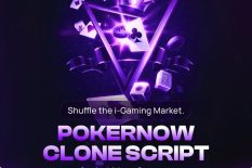 Secure PokerNow Clone Script Using RNG – Free Consultation Offered