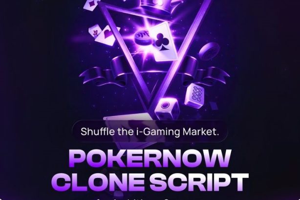 Secure PokerNow Clone Script Using RNG – Free Consultation Offered