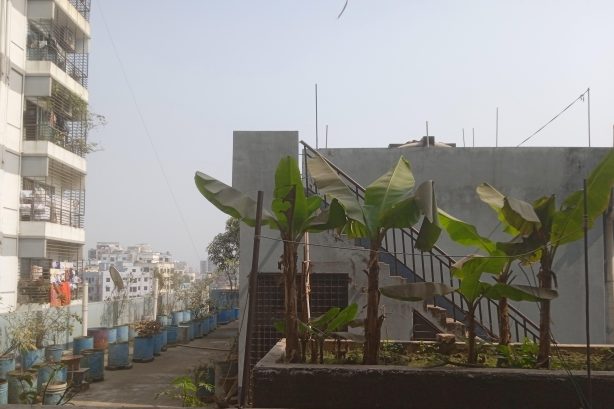 সবুজ অক্সিজেনের ফ্ল্যাট